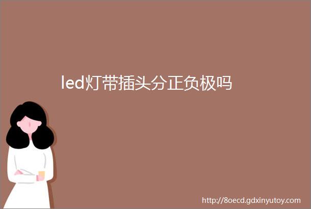 led灯带插头分正负极吗