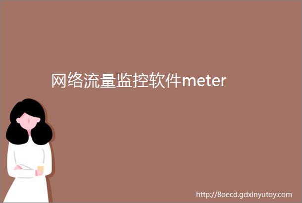 网络流量监控软件meter