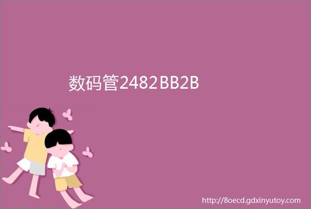 数码管2482BB2B