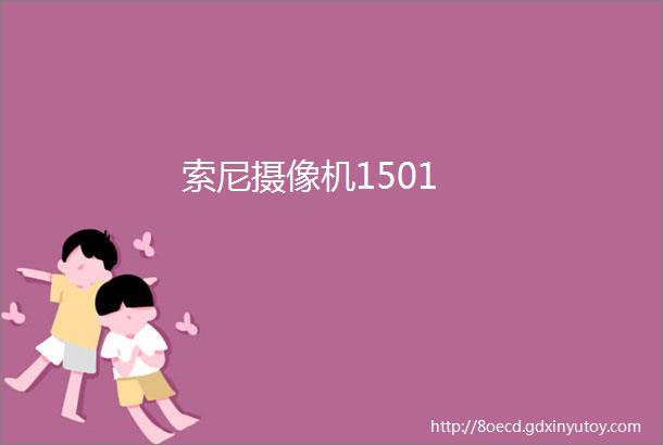 索尼摄像机1501