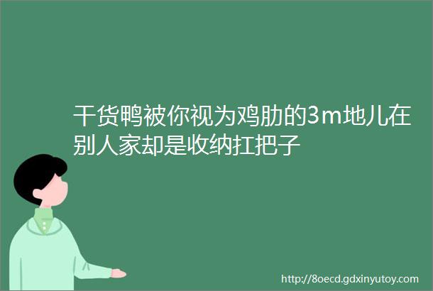 干货鸭被你视为鸡肋的3m地儿在别人家却是收纳扛把子