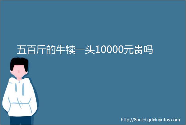 五百斤的牛犊一头10000元贵吗